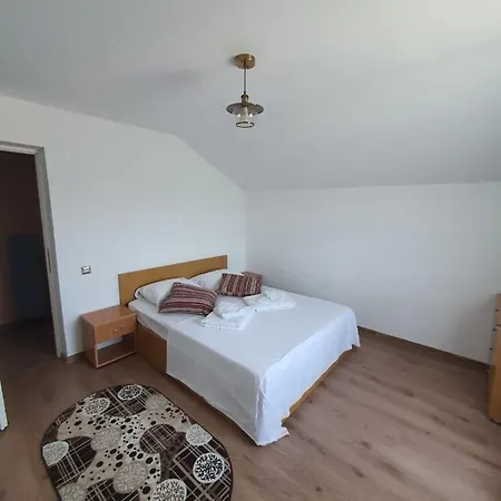 Casa Tatiana 招待所