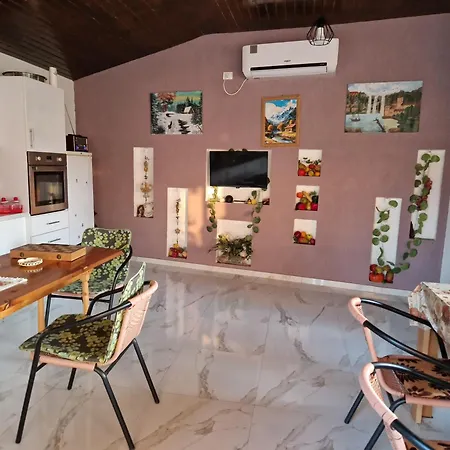 Casa Tatiana 招待所